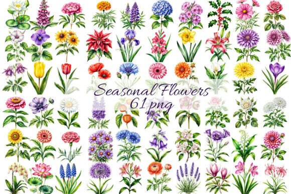 Download 61 Seasonal Flowers by Birth Month. - Seasonal Collection